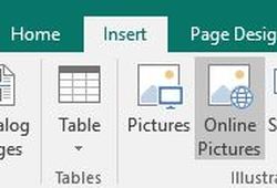 Insert Picture or Photo to Publisher or Microsoft Word